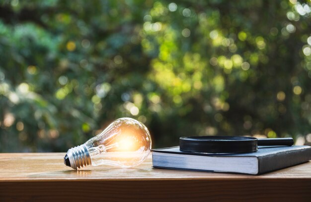 Lampadina e un libro sul tavolo