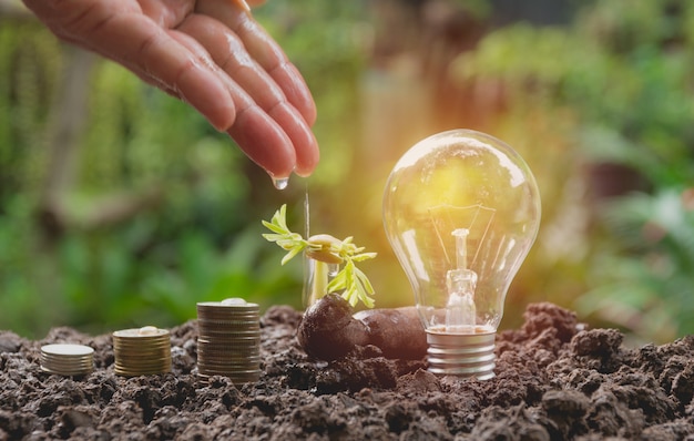 Lampadina economizzatrice d&#39;energia ed albero che crescono sulle pile di monete sul fondo della natura.