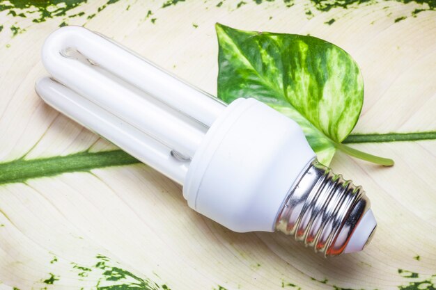 Lampadina per il mondo Green