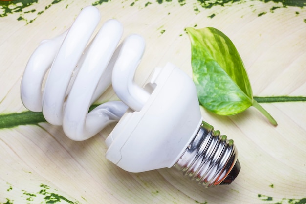 Lampadina per il mondo Green