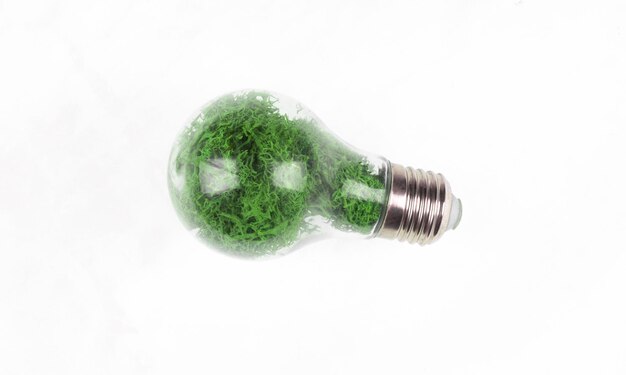 lampadina verde con piante isolate su sfondo bianco