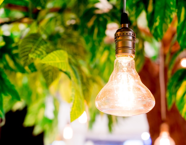 lampadine del tungsteno d&#39;annata che appendono sull&#39;albero con la priorità bassa del bokeh