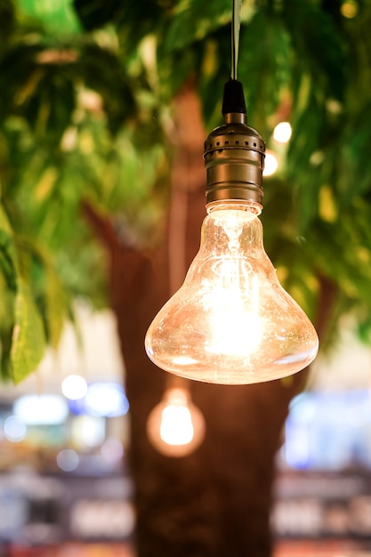 lampadine del tungsteno d&#39;annata che appendono sull&#39;albero con la priorità bassa del bokeh