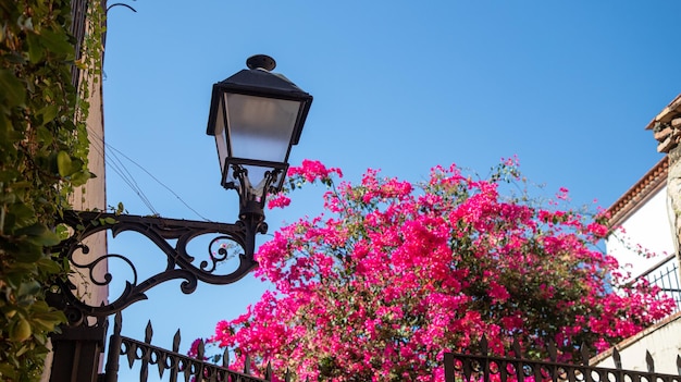 Lampione antico con vista floreale sullo sfondo bel cielo blu