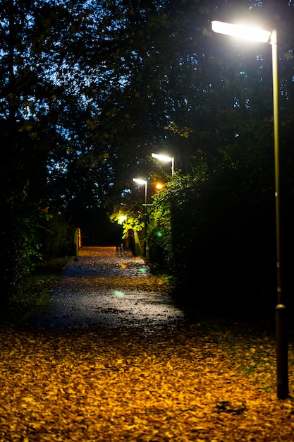 Lampione di notte nella foto buia