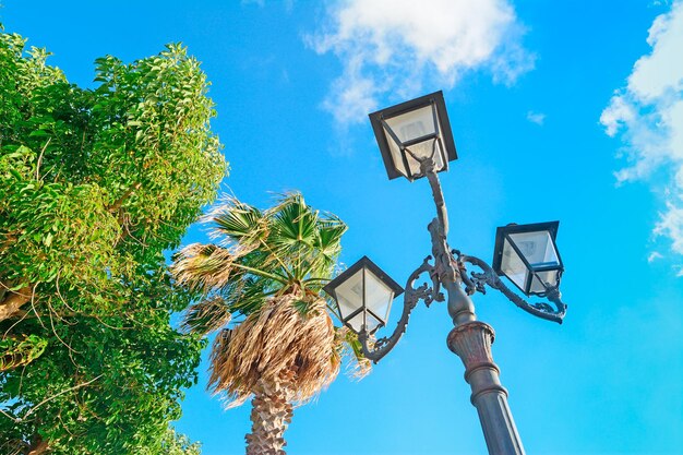 Lampione e palme ad Alghero Sardegna