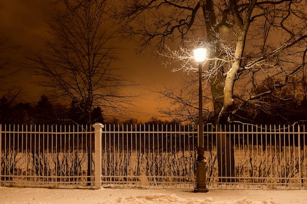 Lampione luminoso, alberi spogli e recinzione nel parco notturno innevato