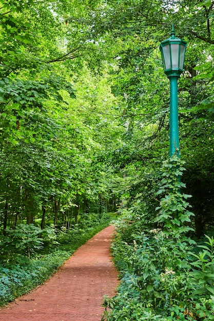 Lampione verde e percorso in mattoni attraverso una lussureggiante foresta verde nel campus universitario
