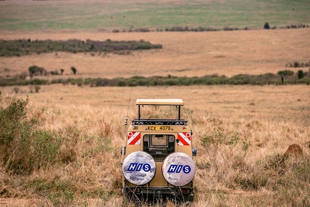 Landcruiser Toyota Van Animali selvatici Mammiferi Savanna Grassland Maasai Mara Riserva nazionale della caccia