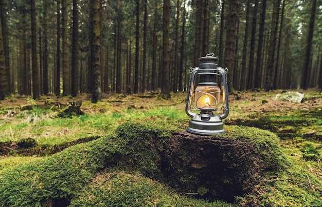 Lanterna a benzina in piedi su un tronco d'albero nella foresta profonda, immagine concetto escursionista, copyspace per il tuo testo individuale.