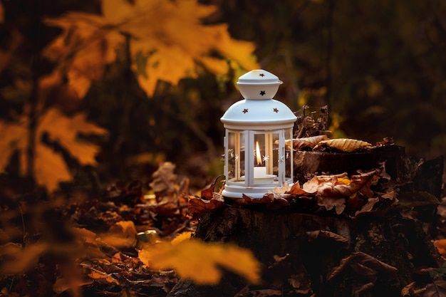 Lanterna con una candela nel bosco tra le foglie d'autunno la sera