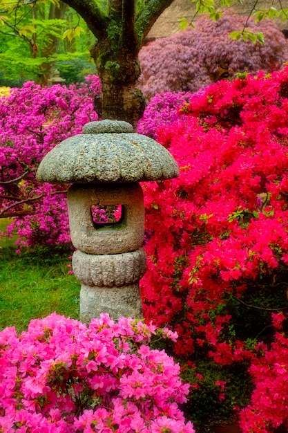 Lanterna di pietra nel giardino giapponese con fiori che sbocciano, Parco Clingendael, L'Aia, Paesi Bassi