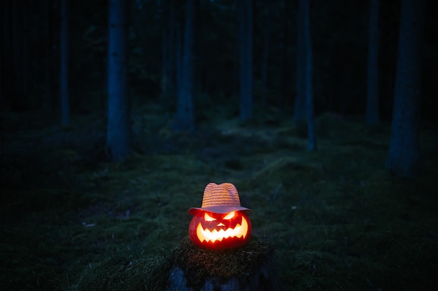 Lanterna di zucca per halloween in un cappello di vimini in una foresta cupa su un concetto di ceppo horror e celebra...