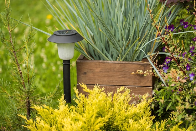 Lanterna per giardino tra le piante a energia solare