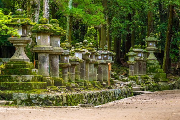 Lanterne giapponesi al Santuario Kasuga-taisha a Nara in Giappone