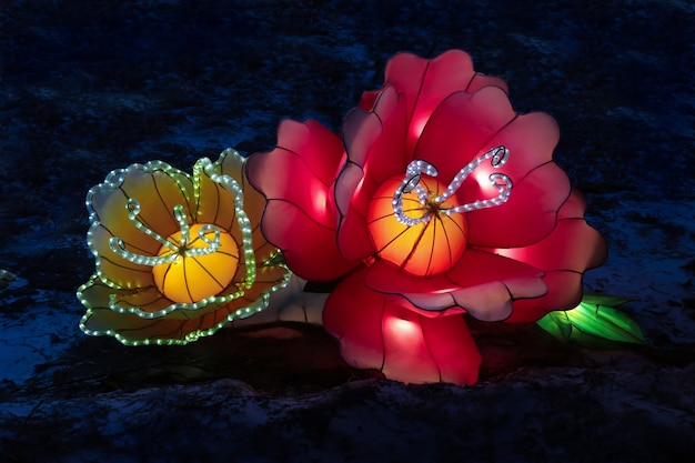 Lanterne luminose luminose a forma di fiori e bagaglio cinese al festival delle luci delle lanterne luminose cinesi