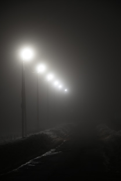 Lanterne lungo la strada di notte nella nebbia