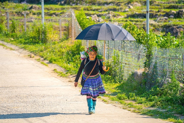 Lao Cai VIETNAM 07 MAGGIO 2023 bellissimo ritratto di una donna anziana vietnamita minoranza etnica Hani Sorridente donna Hani in abiti nazionali Il popolo Hani o Ha Nhi è un gruppo etnico in Viet Nam