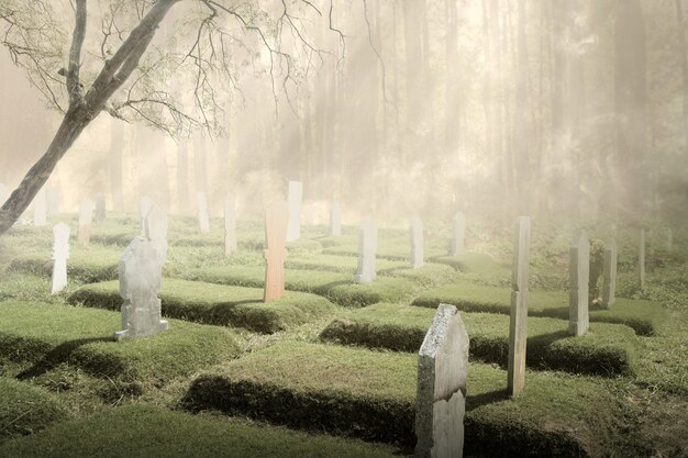 Lapidi sul cimitero nella foresta. concetto di Halloween