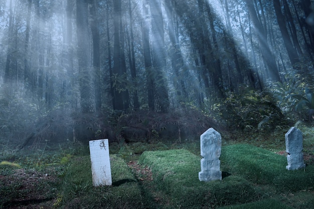 Lapidi sul cimitero nella foresta. concetto di Halloween