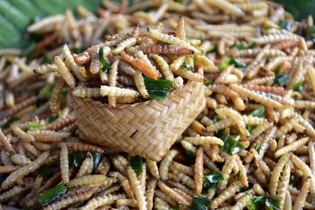 Larve di bambù fritte - spuntino nazionale in Tailandia