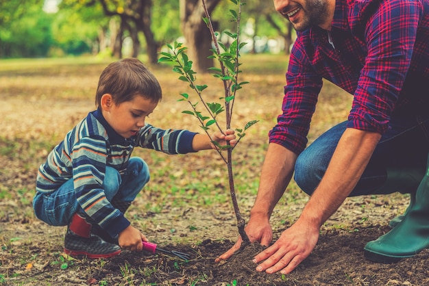 Lascia che ti aiuti! Ragazzino che aiuta suo padre a piantare l'albero mentre lavora insieme in giardino