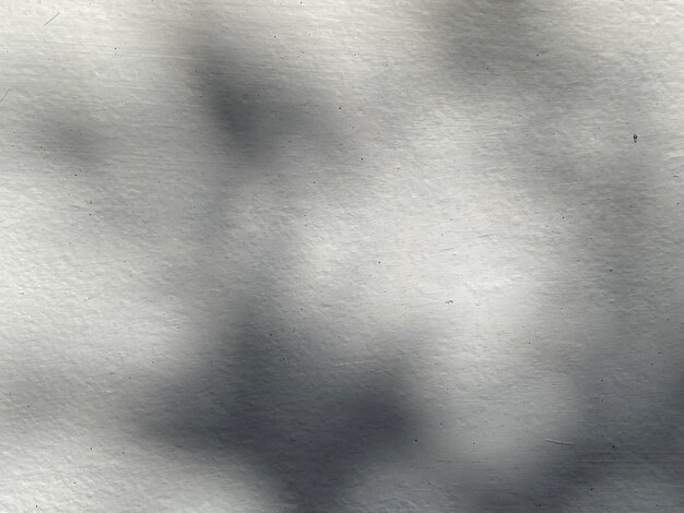 Lascia lo sfondo dell'ombra sulla struttura del muro di cemento lascia l'ombra dei rami degli alberi