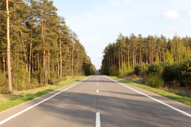 Lasciate che la strada asfaltata in campagna attraversi campi e boschi con vegetazione e alberi verdi