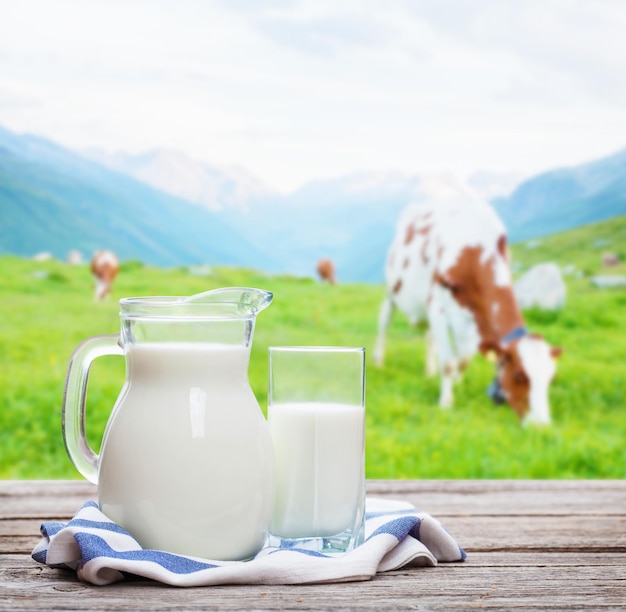 Latte in brocca e vetro e mucche al pascolo sul prato alpino