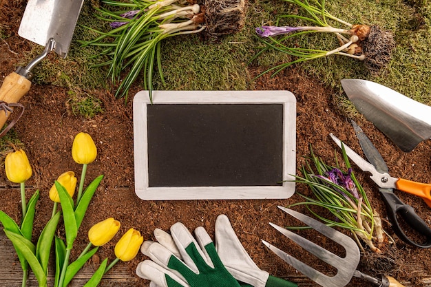 Lavagna su uno sfondo concetto di giardinaggio