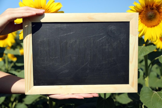 Lavagna vuota nelle mani nel campo di girasoli