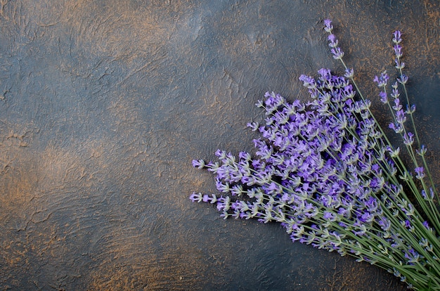 Lavanda fresca su sfondo scuro