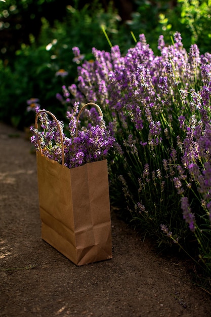 Lavanda in un cestino