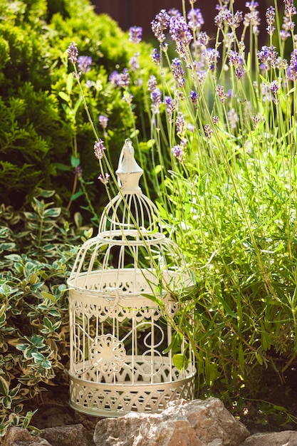 Lavanda su giardino roccioso con decorazioni e rocce della gabbia per uccelli