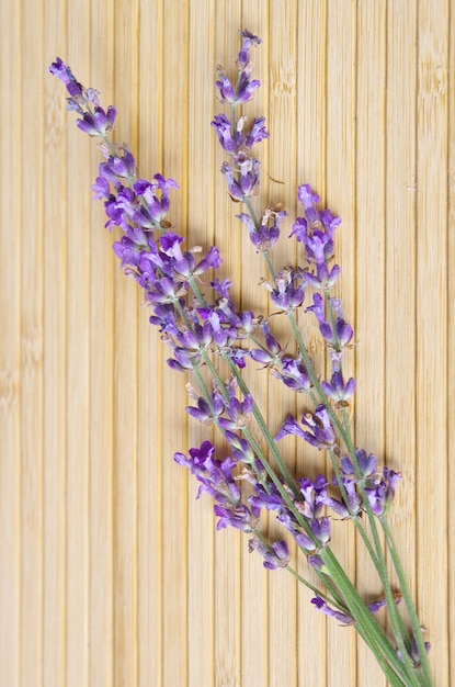 Lavanda su struttura in legno