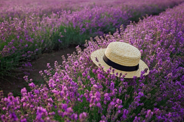 Lavanda viola con cappello di paglia sul tramonto nel campo bellezza della natura vacanze estive