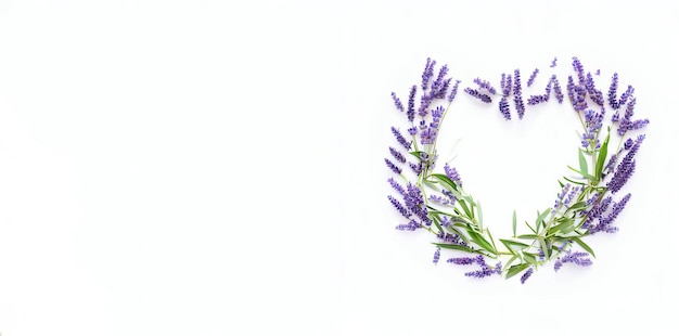 Lavanda vivace amore sfondo bianco IA generativa