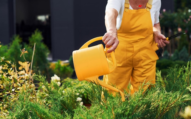 Lavorare con le piante in vaso La donna anziana in uniforme gialla è in giardino durante il giorno