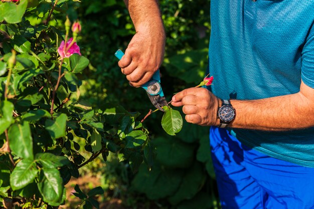 Lavorare in giardino