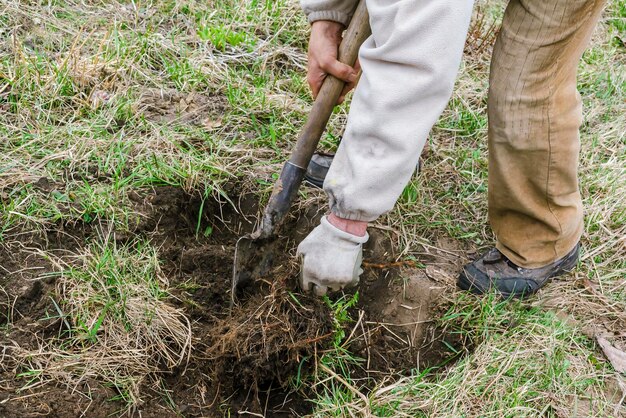 Lavoratore agricoltore uomo che scava arando terreno con pala in giardino foresta agricoltura agronomia