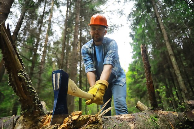 Lavoratore maschio con un'ascia che taglia un albero nella foresta.