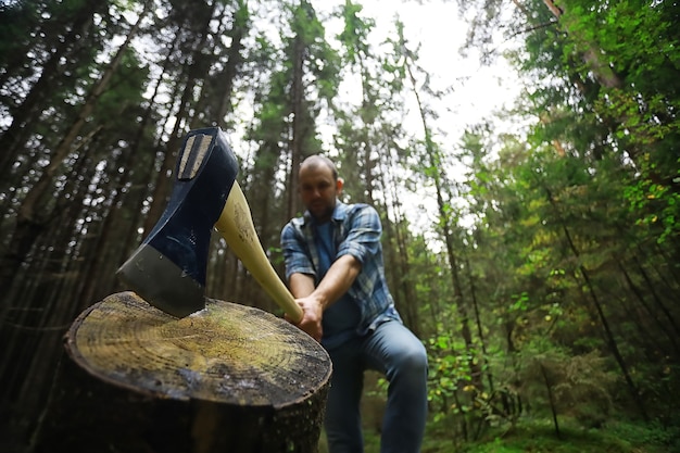 Lavoratore maschio con un'ascia che taglia un albero nella foresta.