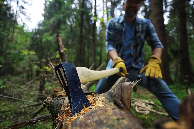 Lavoratore maschio con un'ascia che taglia un albero nella foresta.