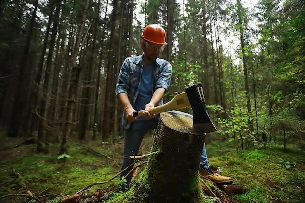 Lavoratore maschio con un'ascia che taglia un albero nella foresta.