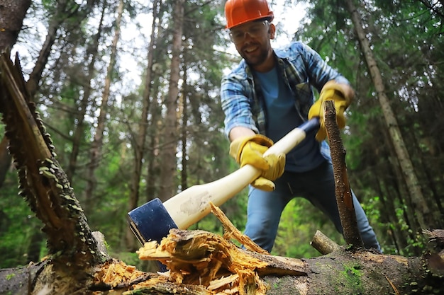 Lavoratore maschio con un'ascia che taglia un albero nella foresta