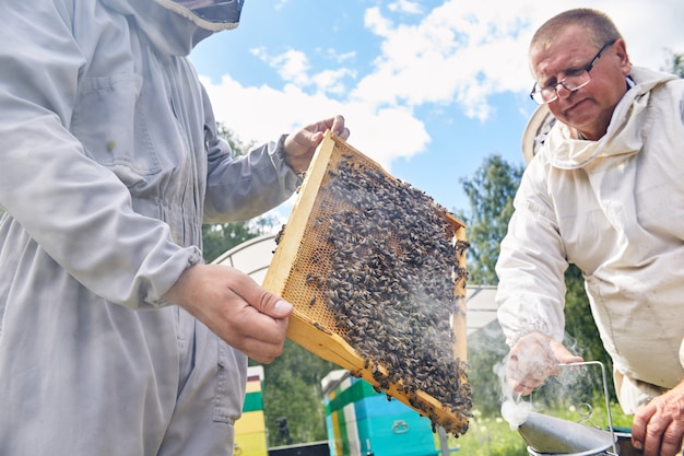 Lavoratori di apiari che fumano orticaria