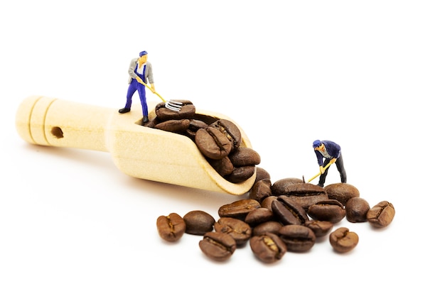 Lavoratori in miniatura che caricano i chicchi di caffè al cucchiaio di legno del mestolo. Concetto di tempo del caffè.