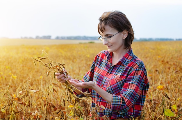 Lavoratrice agricola caucasica che ispeziona la soia al campo estivo serale da qualche parte in Ucraina