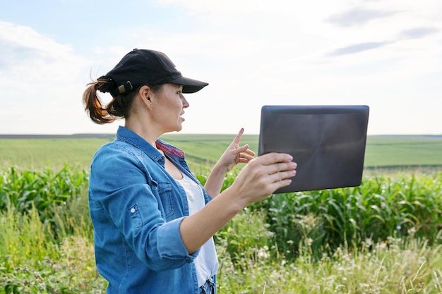 Lavoratrice agricola donna che ispeziona campo di mais, comunicazione video tramite tablet digitale, consulenza professionale, tecnologie moderne, fattoria e agricoltura