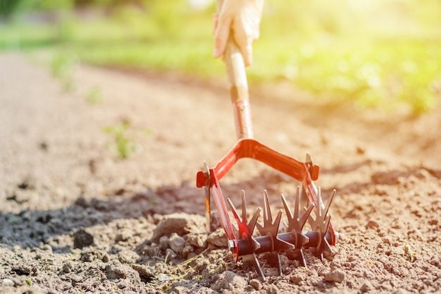 Lavorazione e cura del terreno nel giardino